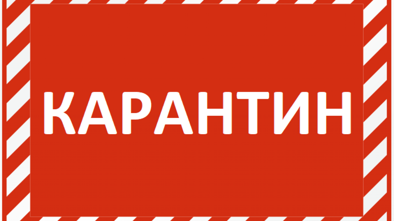 Карантин картинки для презентации